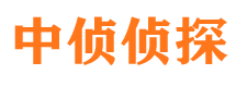 莘县私家调查公司